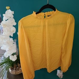 Pumkin Squash Sheer Top